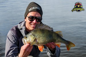 Bottenmetad abborre på 1,4 kg