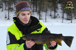Brunöring från liten tjärn på pimpel