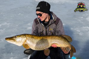 Ismetad gädda på 11,9 kg