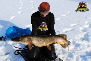 Ismetegädda just under 11 kilo, tagen i Värmland