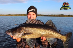 Trollad gös på knappt 5 kg