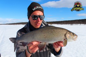 Riktigt fin pimpelharr på 1,62 kg