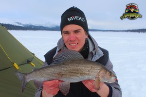 Harr på Jaw Jacker som vägde 1190 gr