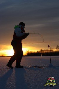 Mothugg i soluppgången
