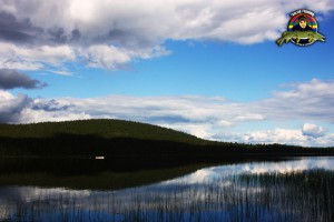Fiskebåt på sjön