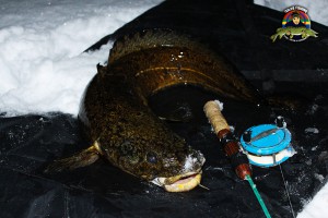 Lake på drygt 3 kilo tagen på pimpel