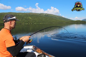 S-O fajtar en fjällöring i Tjaktjaure