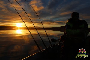 Trolling i soluppgången