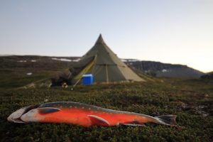 Tältkåta & Fjällfiske
